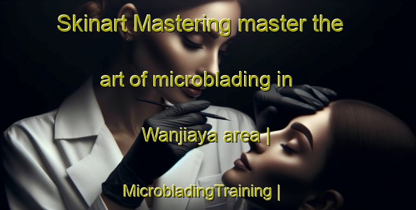 Skinart Mastering master the art of microblading in Wanjiaya area | MicrobladingTraining | MicrobladingClasses | SkinartTraining-China